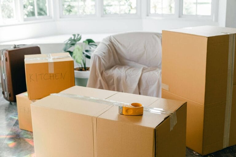 tucson movers 11